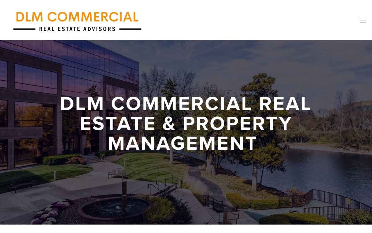 DLM Commercial Real Estate website project